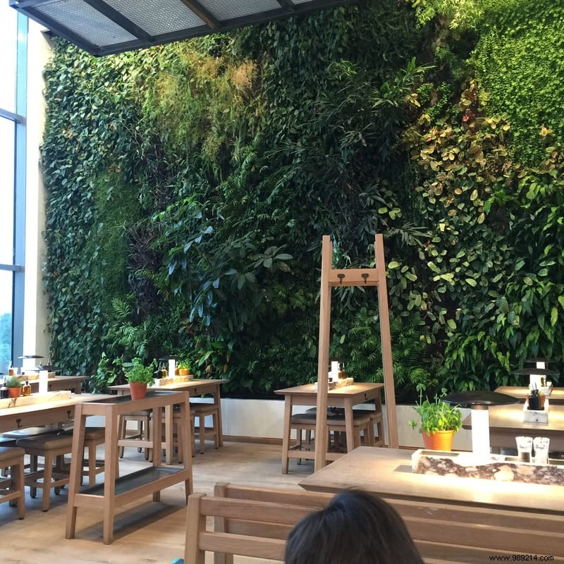 Festive Christmas Meal at Vapiano Disney Village: Our Family s Honest Review