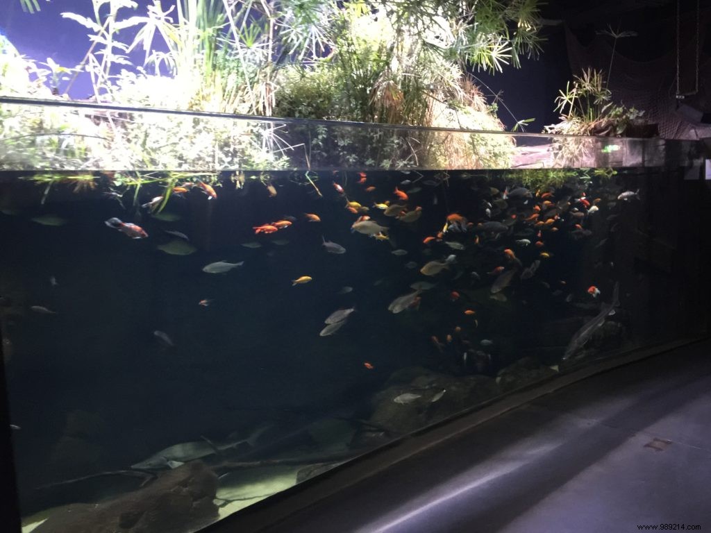 Easter Egg Hunt at Aquarium de Paris: Our Family s Honest Experience