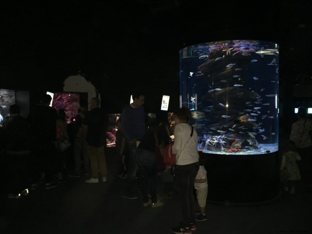Easter Egg Hunt at Aquarium de Paris: Our Family s Honest Experience