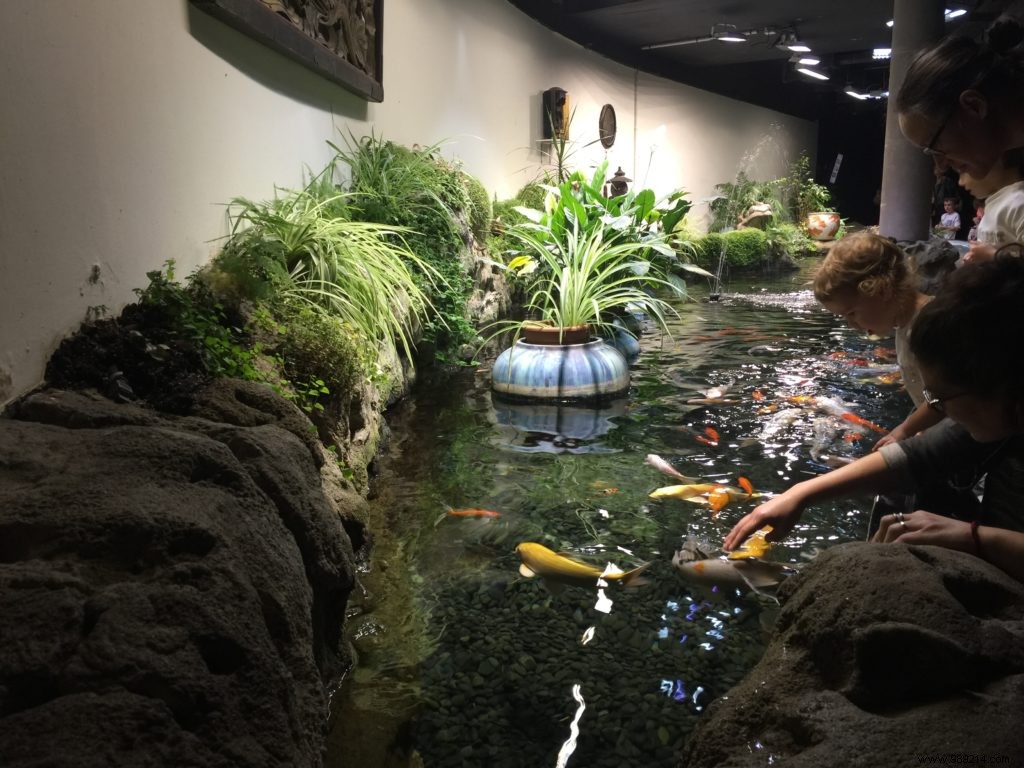 Easter Egg Hunt at Aquarium de Paris: Our Family s Honest Experience
