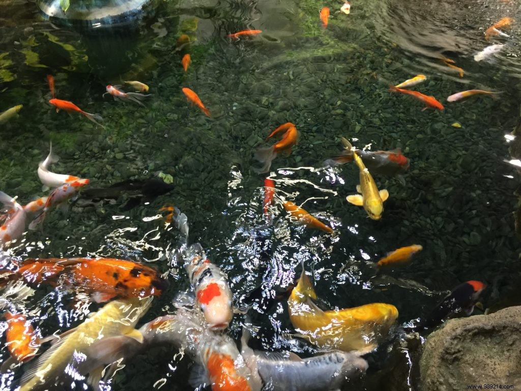 Easter Egg Hunt at Aquarium de Paris: Our Family s Honest Experience