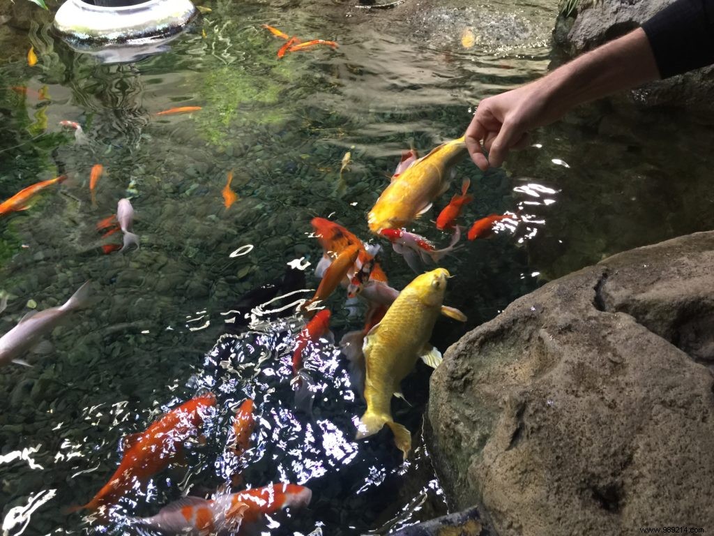 Easter Egg Hunt at Aquarium de Paris: Our Family s Honest Experience