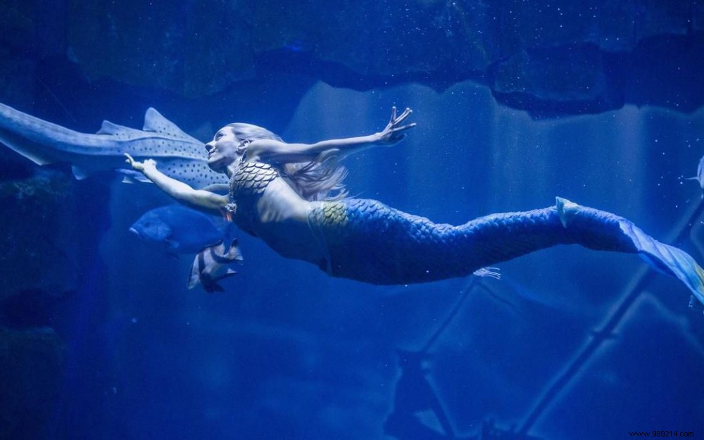 Claire the Mermaid: A Captivating Underwater Show at Aquarium de Paris
