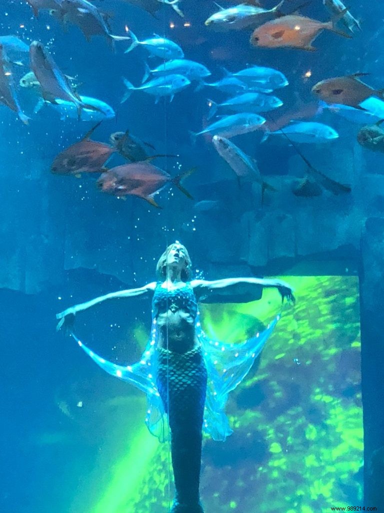 Claire the Mermaid: A Captivating Underwater Show at Aquarium de Paris