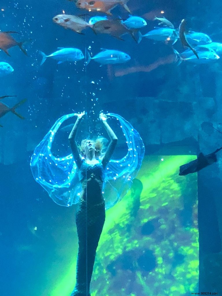 Claire the Mermaid: A Captivating Underwater Show at Aquarium de Paris