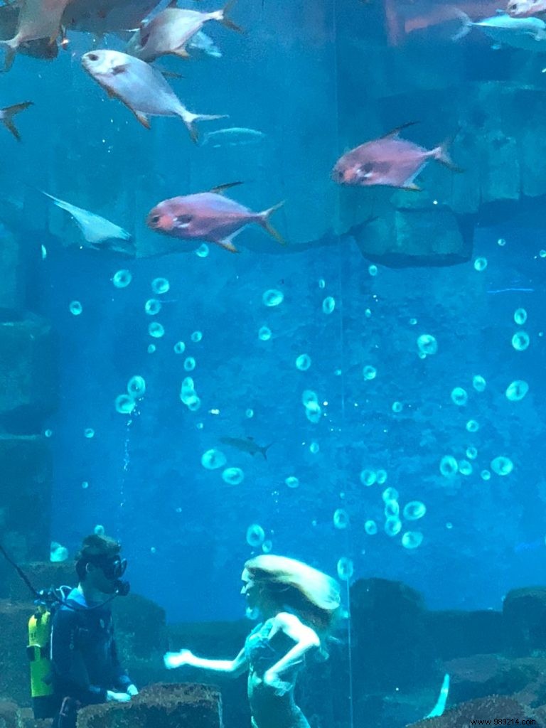 Claire the Mermaid: A Captivating Underwater Show at Aquarium de Paris