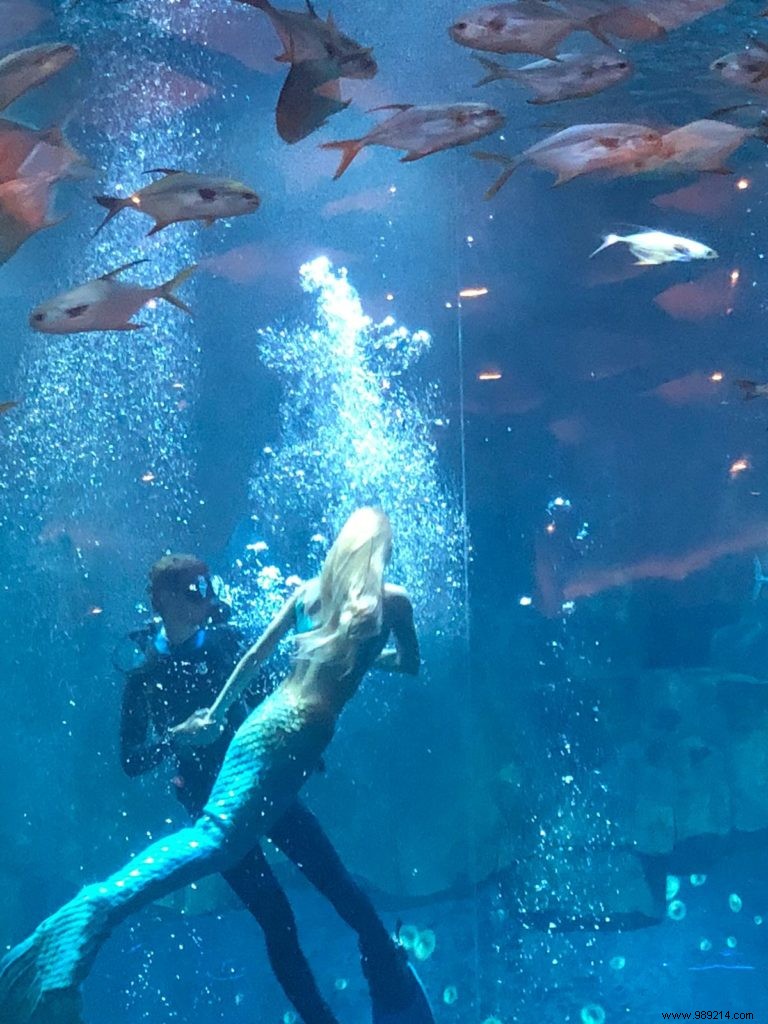 Claire the Mermaid: A Captivating Underwater Show at Aquarium de Paris