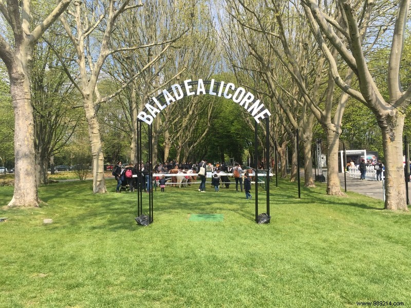 Les Dimanches au Galop: A Fun, Family-Friendly Day at ParisLongchamp Racecourse