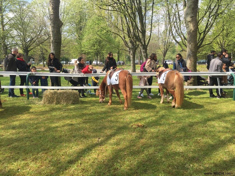 Les Dimanches au Galop: A Fun, Family-Friendly Day at ParisLongchamp Racecourse