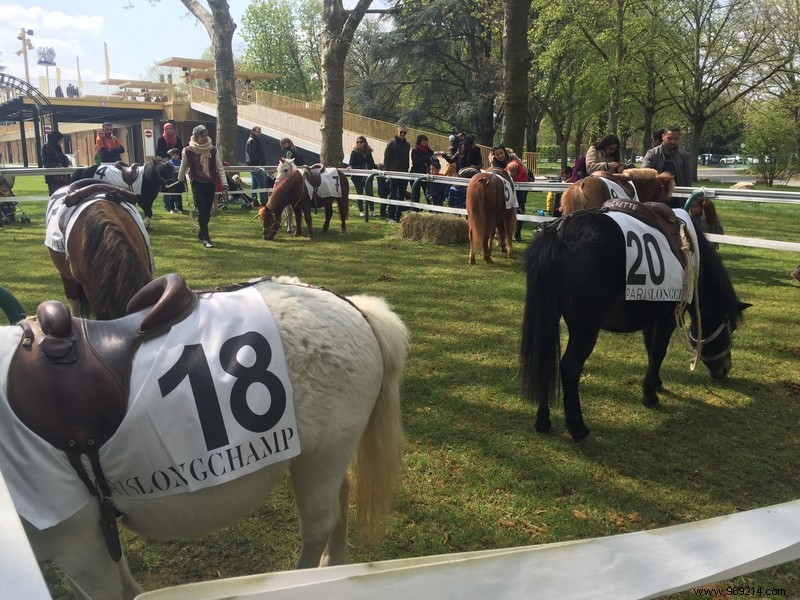 Les Dimanches au Galop: A Fun, Family-Friendly Day at ParisLongchamp Racecourse