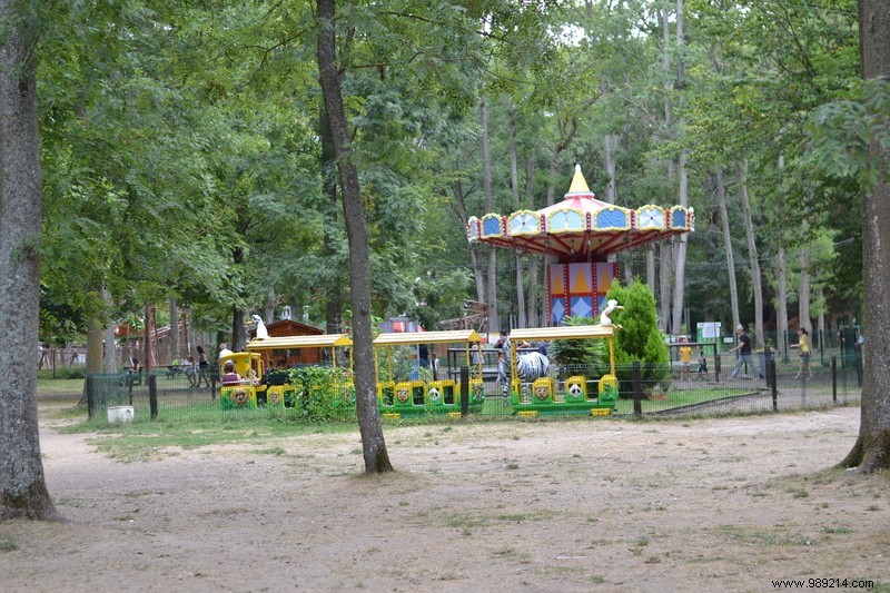 Babyland-Amiland Park Review: A Family Favorite with 34 Kid-Friendly Attractions