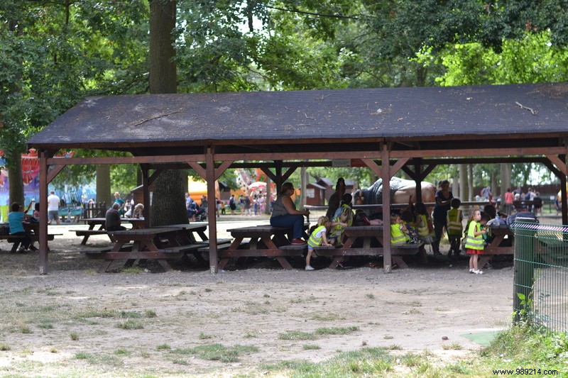 Babyland-Amiland Park Review: A Family Favorite with 34 Kid-Friendly Attractions