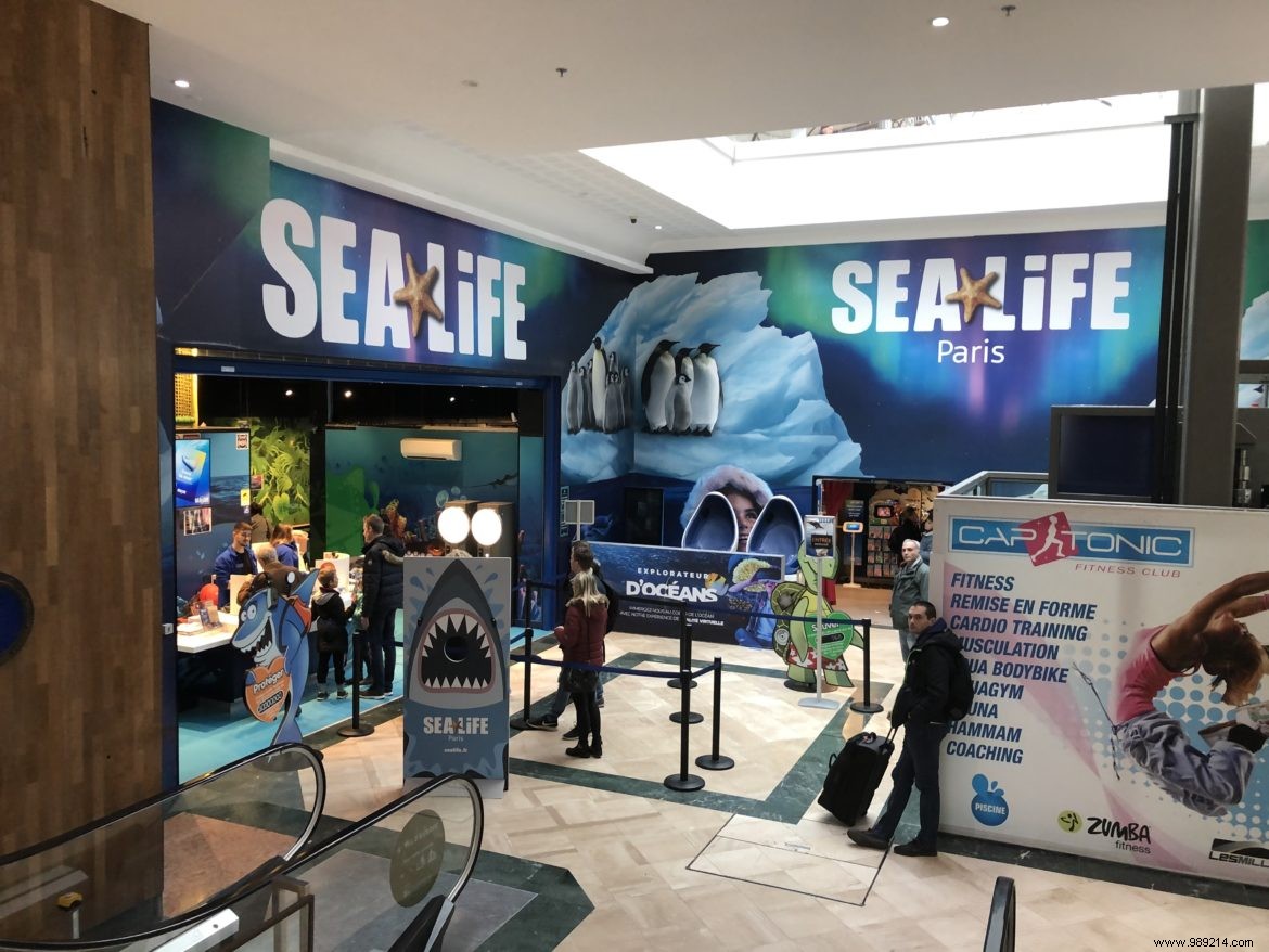 Sea Life Val d Europe Aquarium: An Engaging Family Adventure with Sharks, Penguins, and Sonic Fun