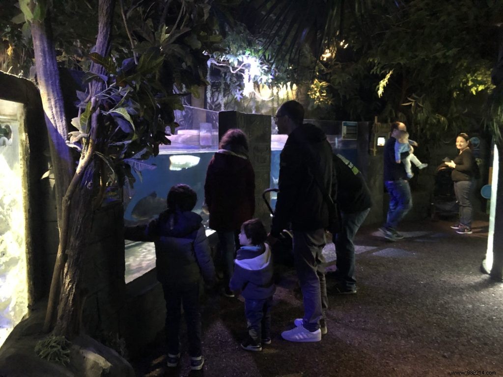 Sea Life Val d Europe Aquarium: An Engaging Family Adventure with Sharks, Penguins, and Sonic Fun