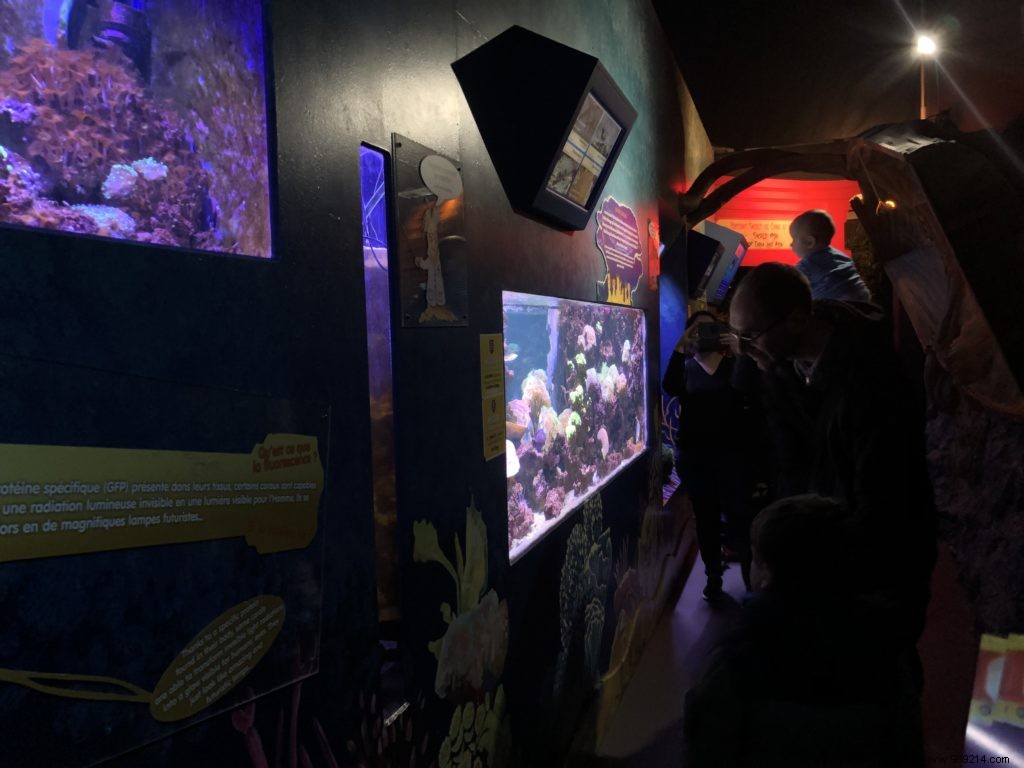 Sea Life Val d Europe Aquarium: An Engaging Family Adventure with Sharks, Penguins, and Sonic Fun