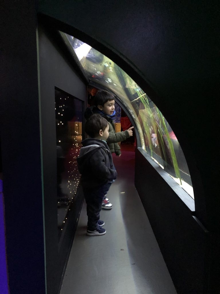 Sea Life Val d Europe Aquarium: An Engaging Family Adventure with Sharks, Penguins, and Sonic Fun