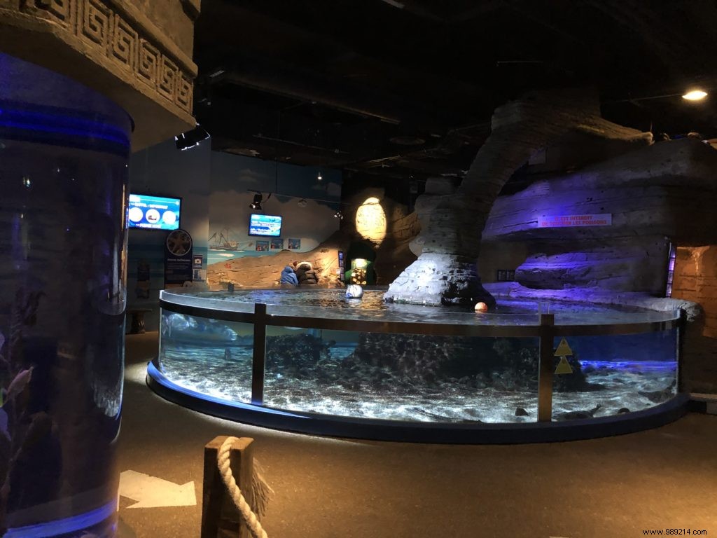 Sea Life Val d Europe Aquarium: An Engaging Family Adventure with Sharks, Penguins, and Sonic Fun
