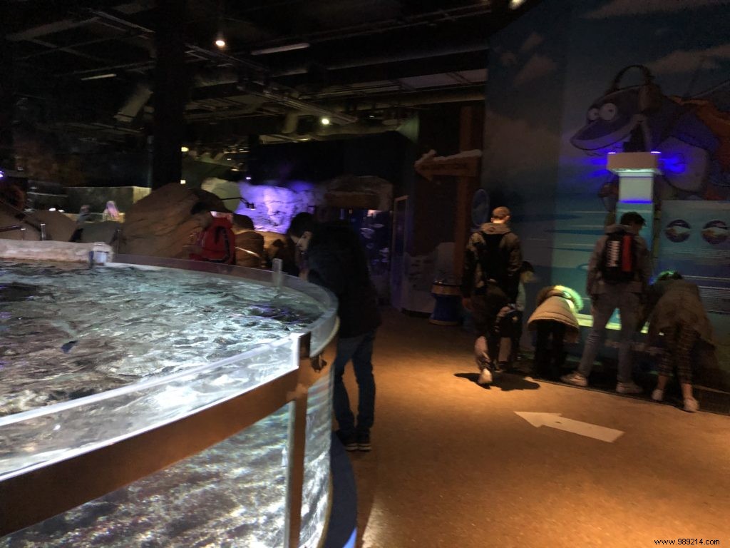 Sea Life Val d Europe Aquarium: An Engaging Family Adventure with Sharks, Penguins, and Sonic Fun