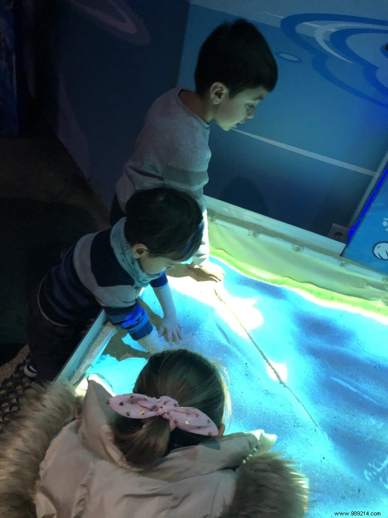 Sea Life Val d Europe Aquarium: An Engaging Family Adventure with Sharks, Penguins, and Sonic Fun