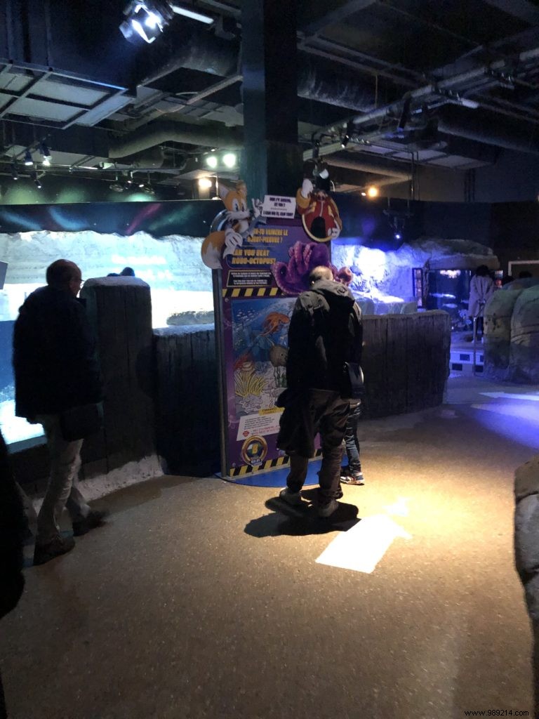 Sea Life Val d Europe Aquarium: An Engaging Family Adventure with Sharks, Penguins, and Sonic Fun