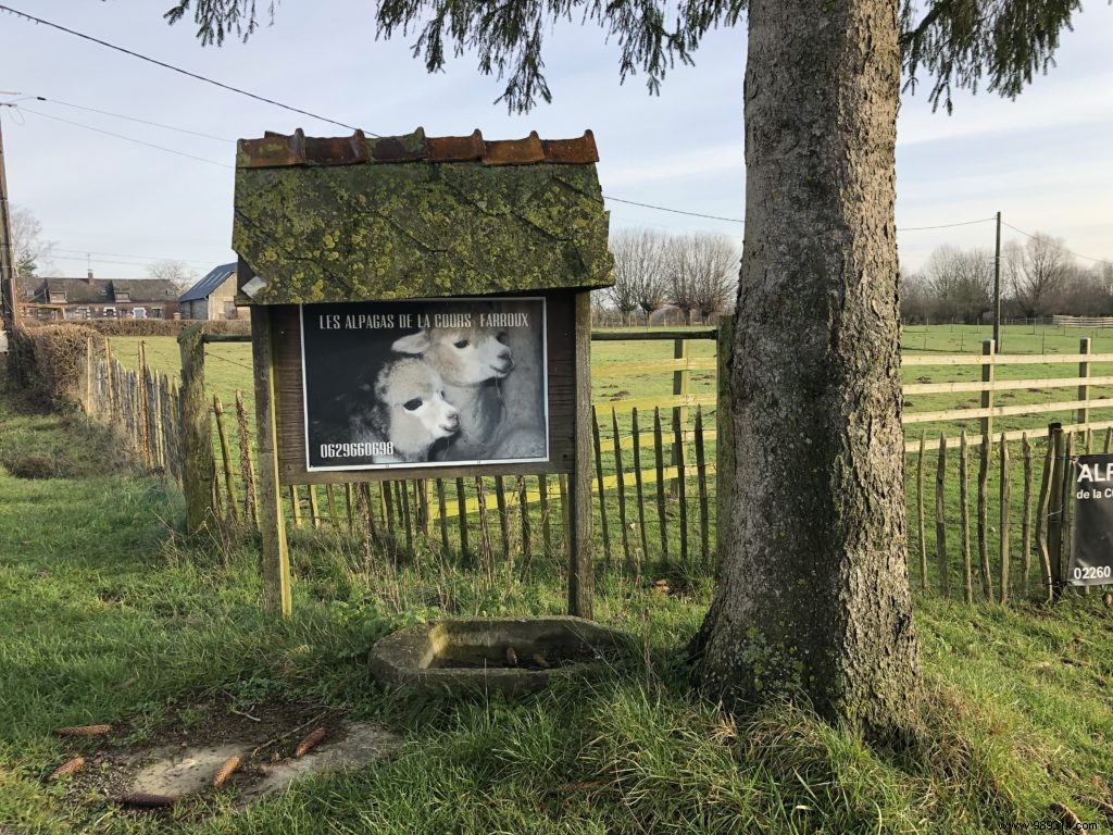 Family Winter Getaway at Domaine de Blangy: Honest Review of Cottages, Activities & Attractions