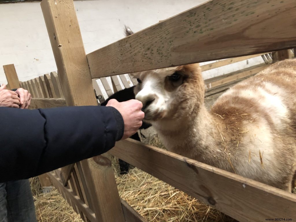 Family Winter Getaway at Domaine de Blangy: Honest Review of Cottages, Activities & Attractions