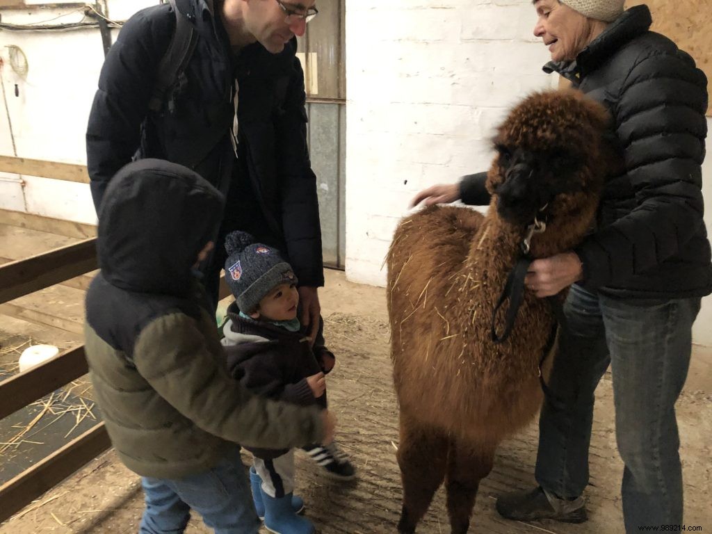 Family Winter Getaway at Domaine de Blangy: Honest Review of Cottages, Activities & Attractions