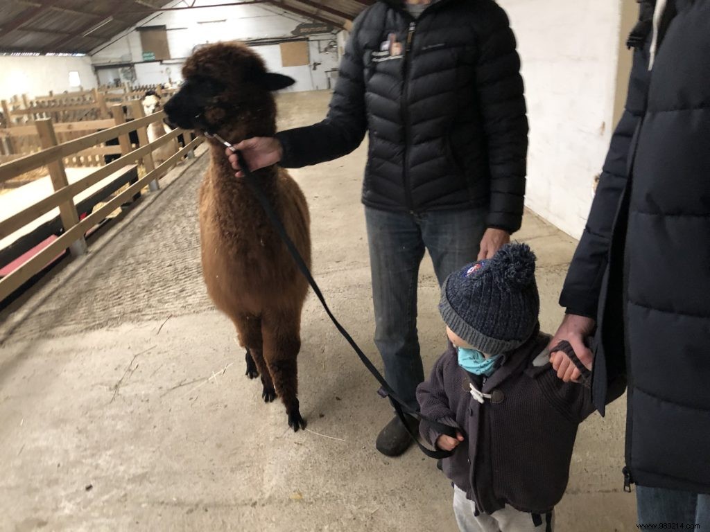 Family Winter Getaway at Domaine de Blangy: Honest Review of Cottages, Activities & Attractions