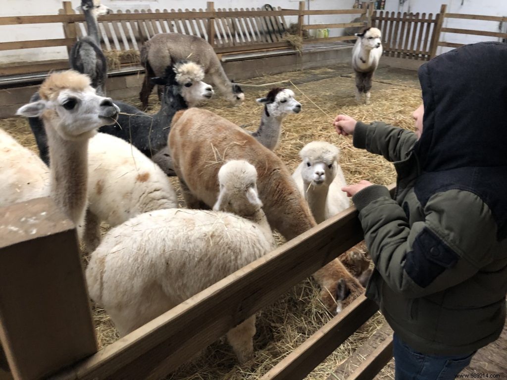 Family Winter Getaway at Domaine de Blangy: Honest Review of Cottages, Activities & Attractions