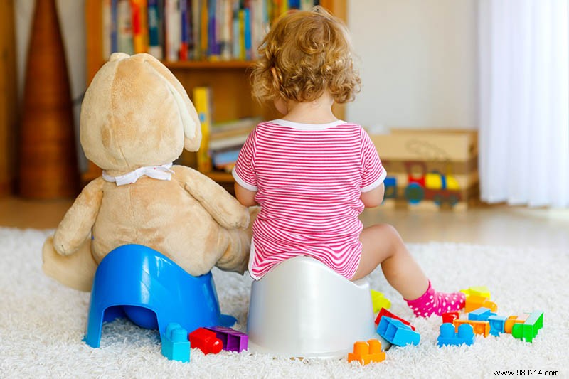 Potty Training Your Toddler: Expert Tips on Timing, Tools, and Troubleshooting