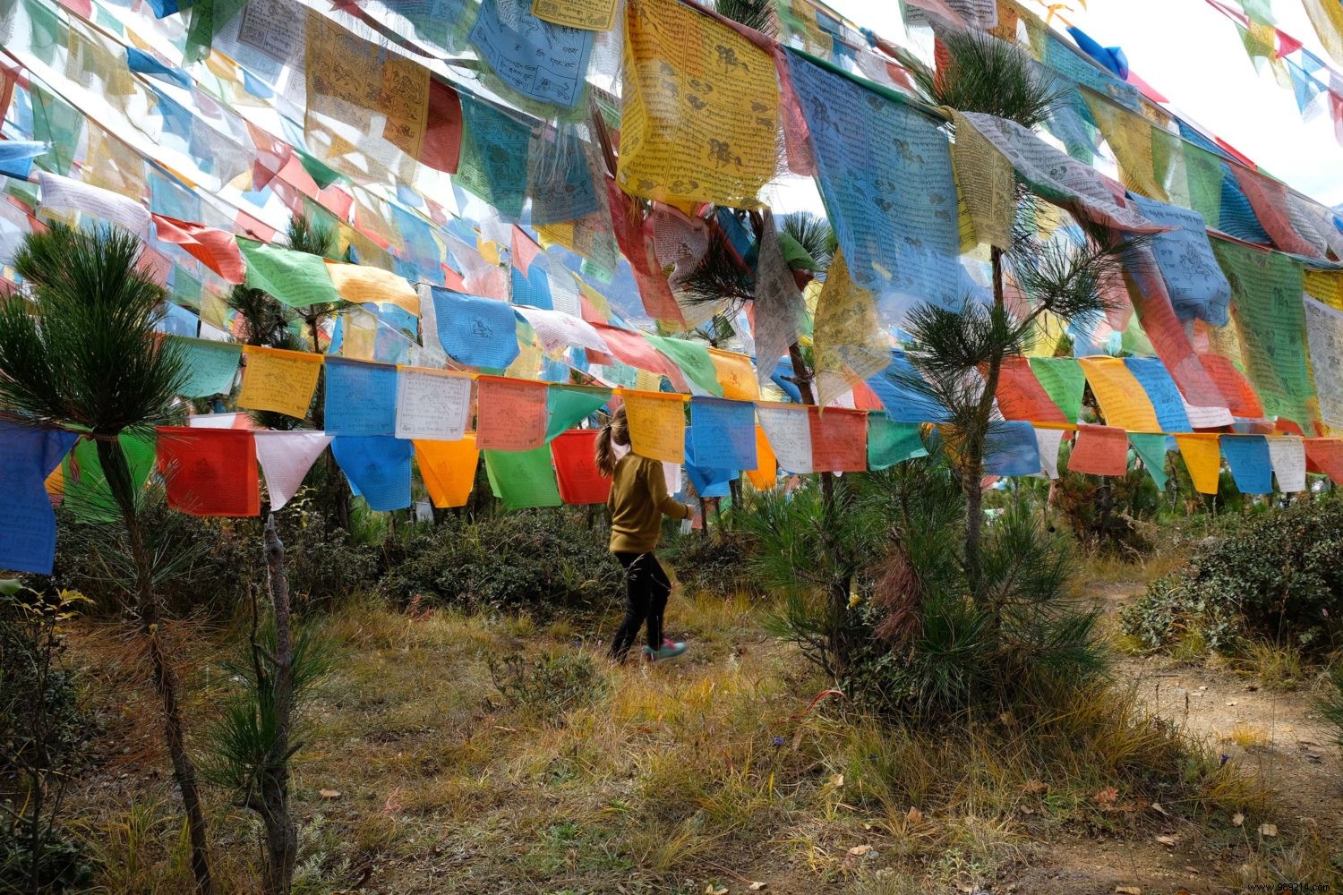 Our Family s Month in China: Detailed Itinerary, Proven Tips, and Realistic Budget for 4