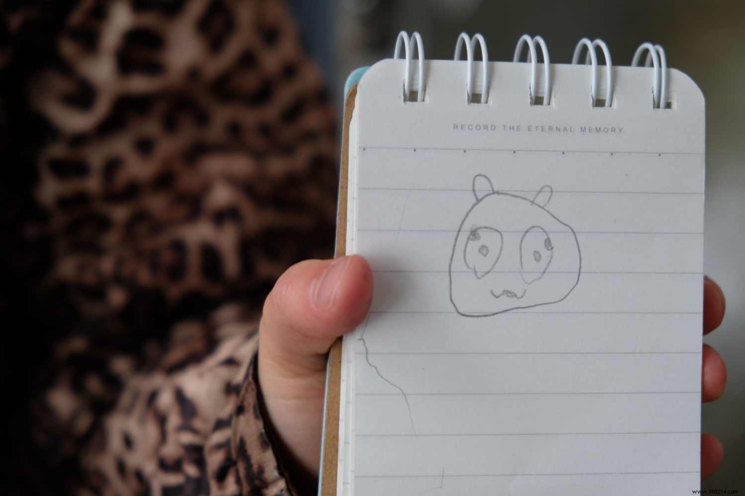 6 Months in Asia: Our Family s Detailed Itinerary and Pre-Departure Budget Breakdown