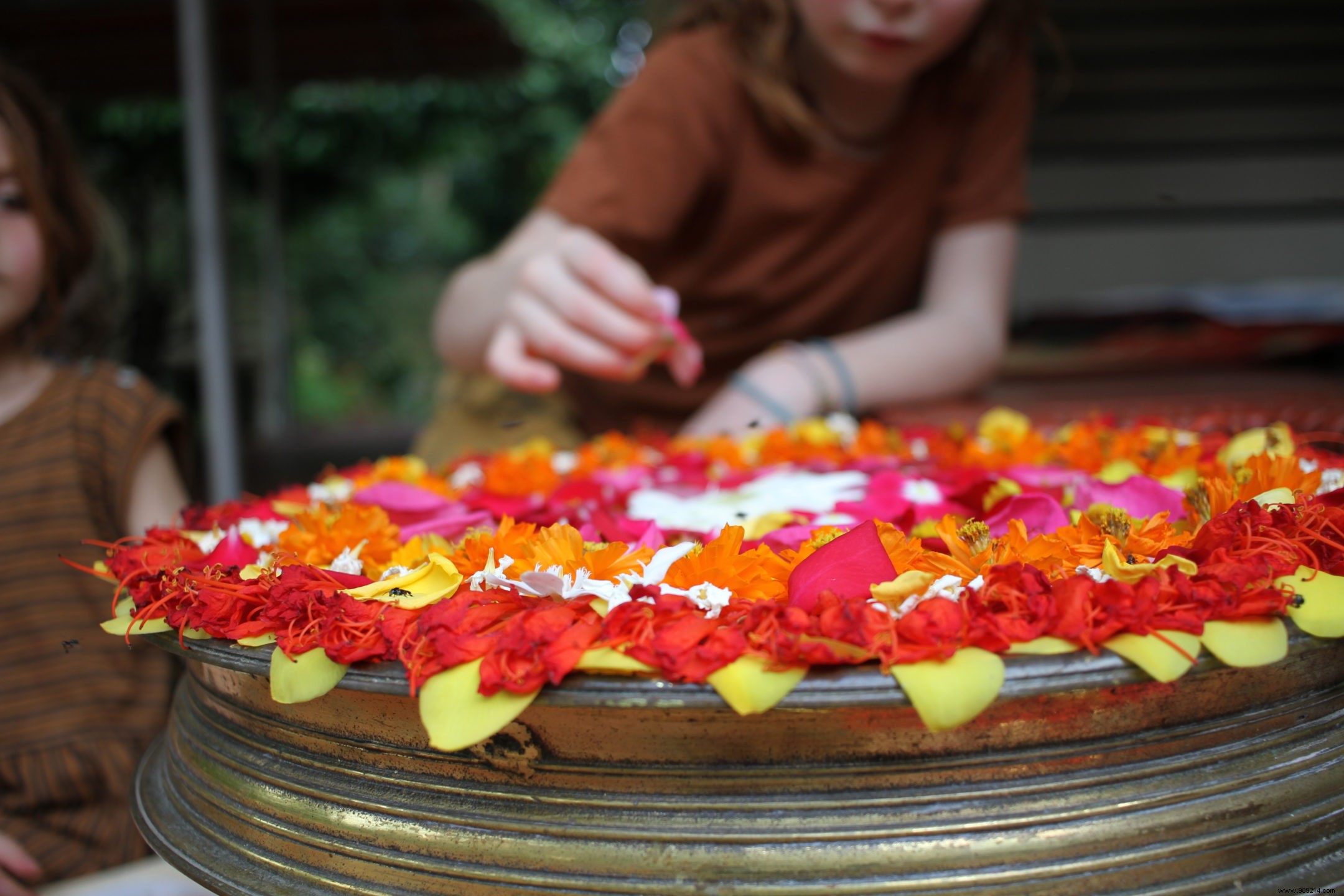 Planning Our Family s 6-Month World Adventure: Budget and Itinerary Insights from Real Travelers