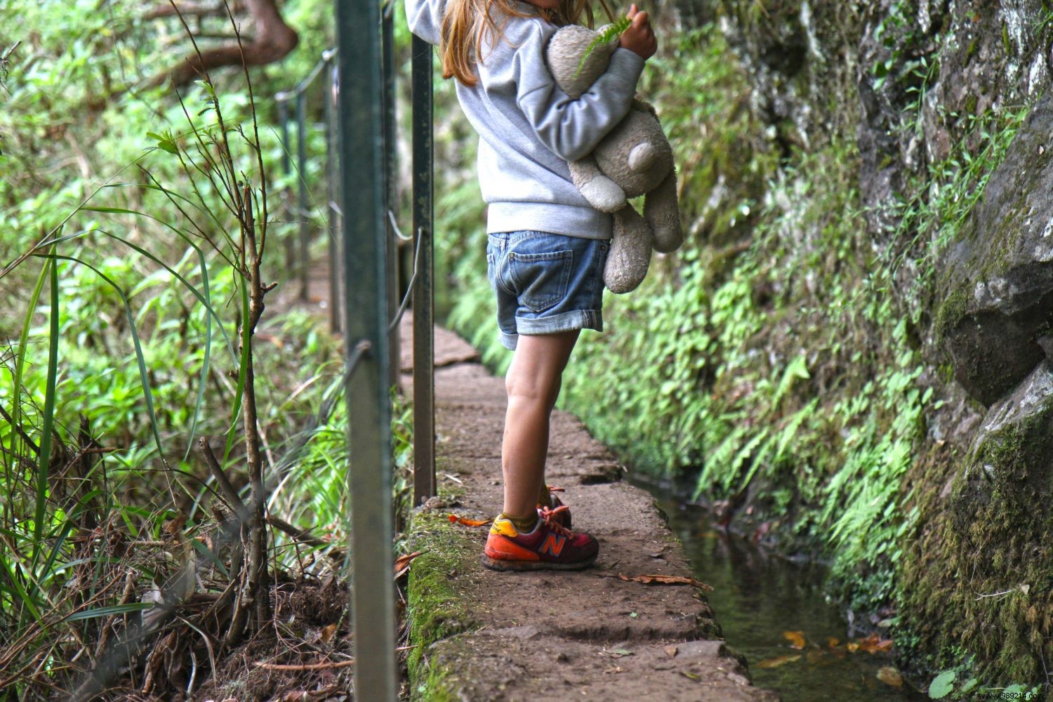 Hiking with Kids: Expert Tips from Family Adventures to Spark Joy and Growth