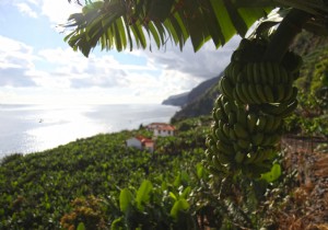 Préparer votre voyage à Madère en famille : nos conseils pratiques et éprouvés