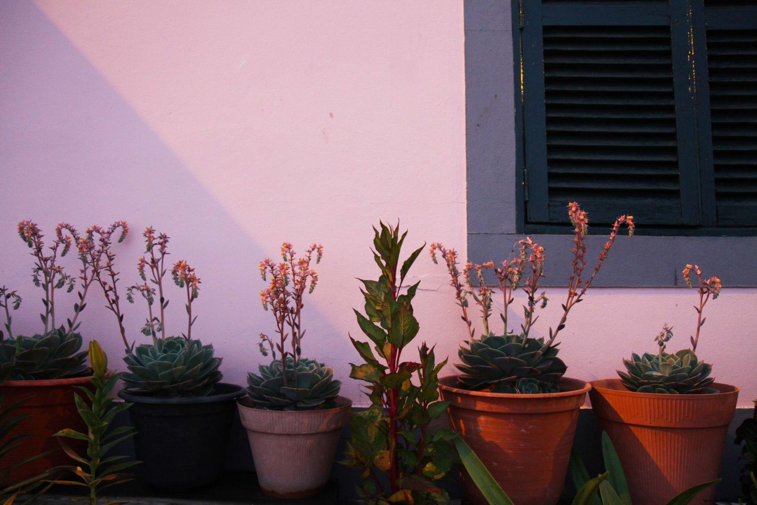 Préparer votre voyage à Madère en famille : nos conseils pratiques et éprouvés