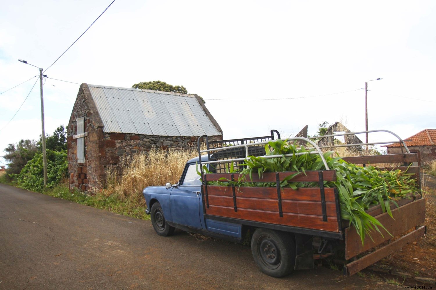 Préparer votre voyage à Madère en famille : nos conseils pratiques et éprouvés