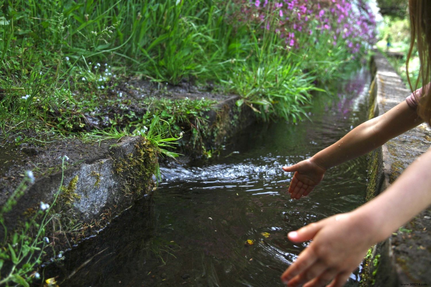 Madeira s Top 10 Must-Sees and Must-Dos: Insights from Our Family s Two-Week Adventure