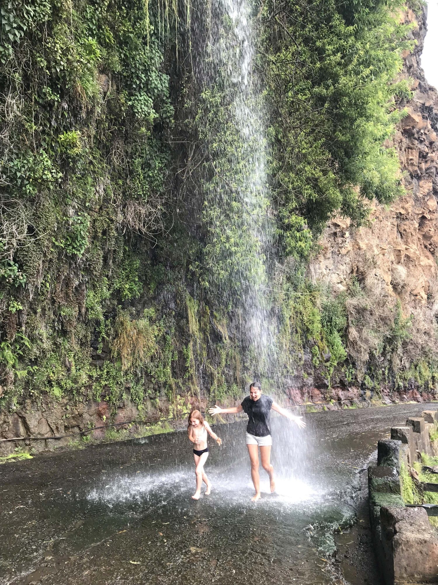 Madeira s Top 10 Must-Sees and Must-Dos: Insights from Our Family s Two-Week Adventure