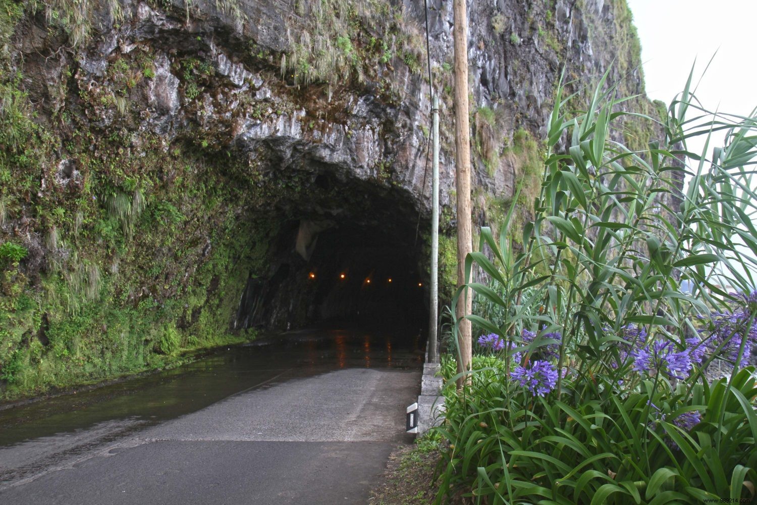 Madeira s Top 10 Must-Sees and Must-Dos: Insights from Our Family s Two-Week Adventure