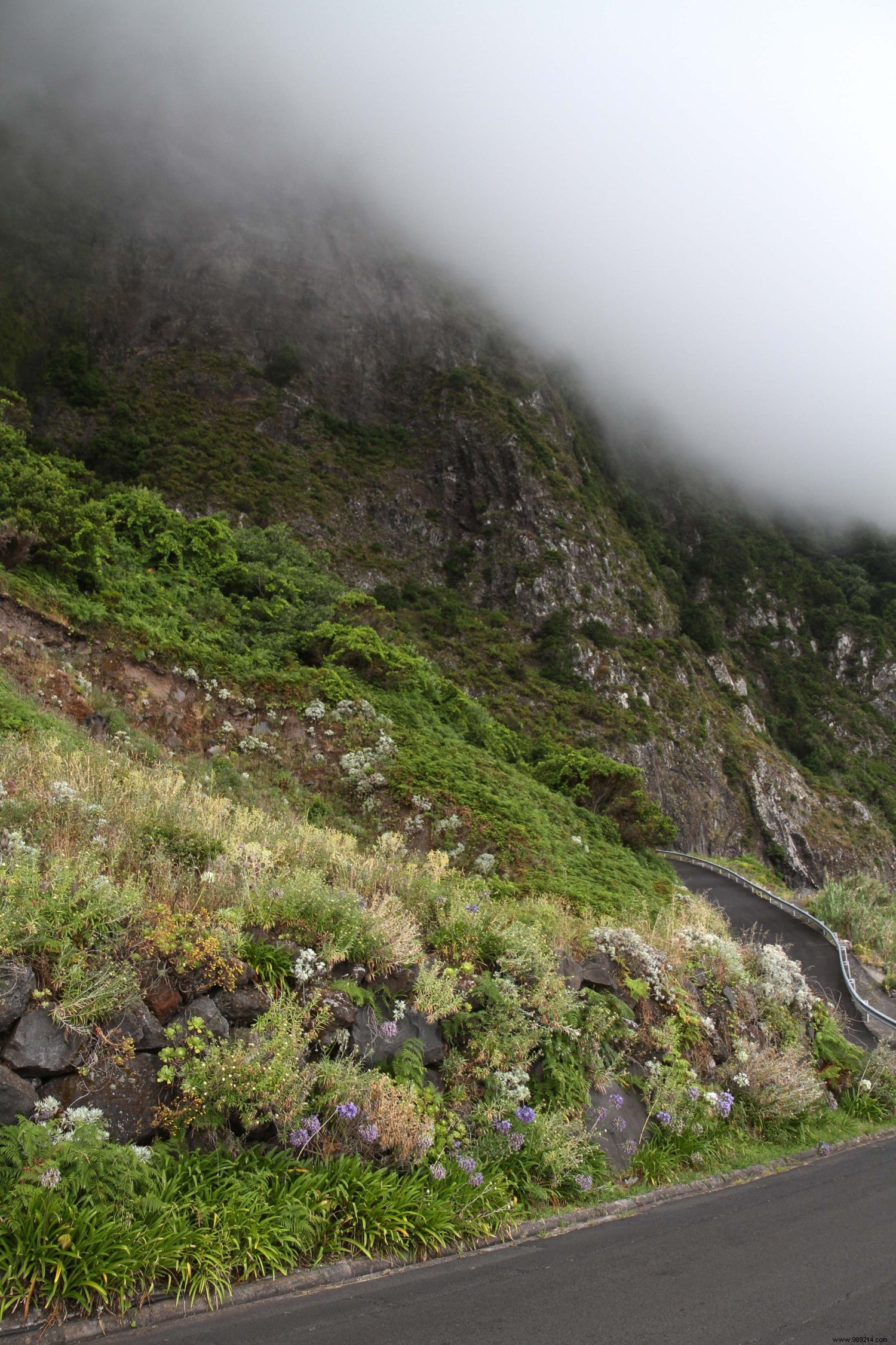 Madeira s Top 10 Must-Sees and Must-Dos: Insights from Our Family s Two-Week Adventure