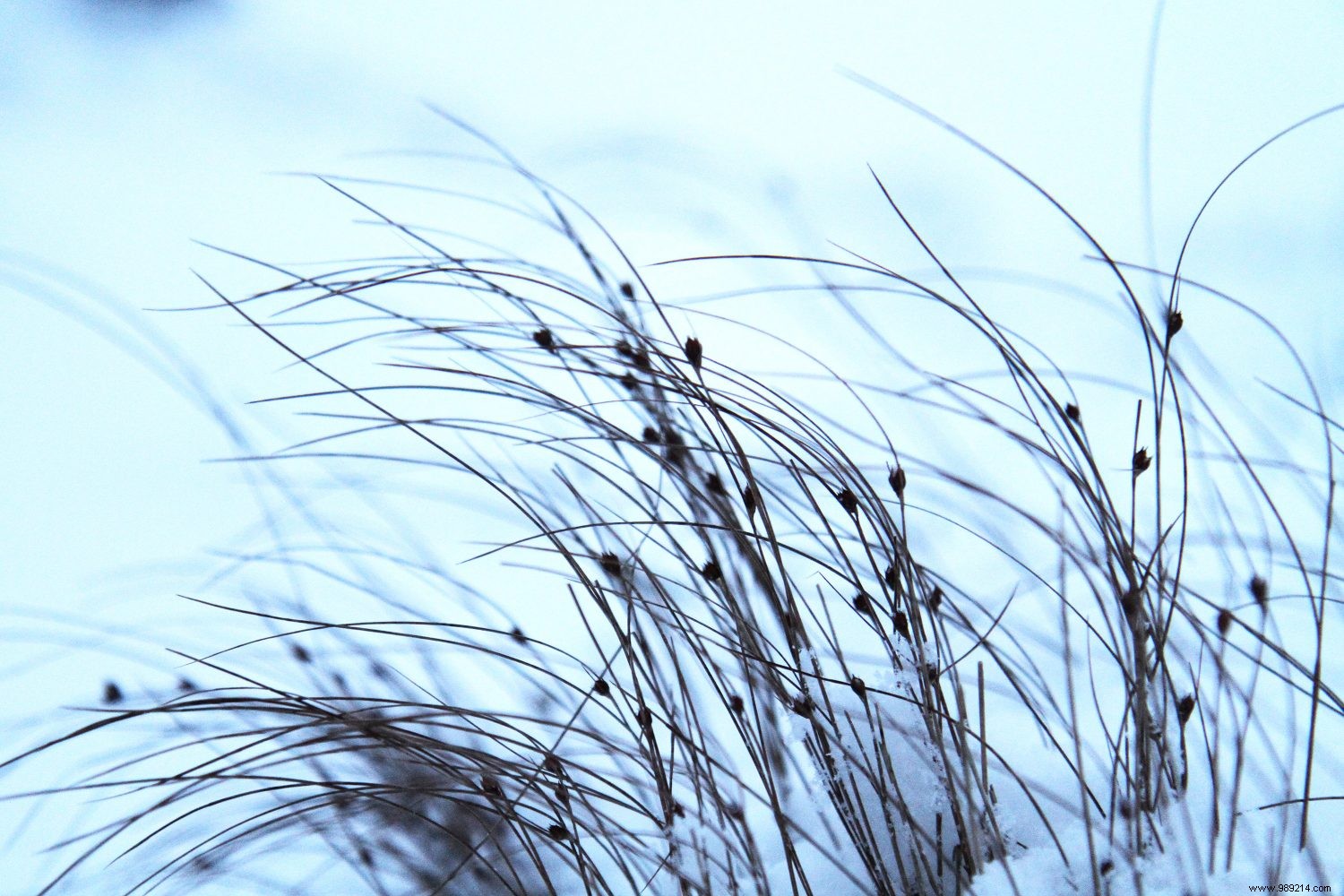 Insider Tips for Planning Your Iceland Trip: Lessons from Our Three Family Visits