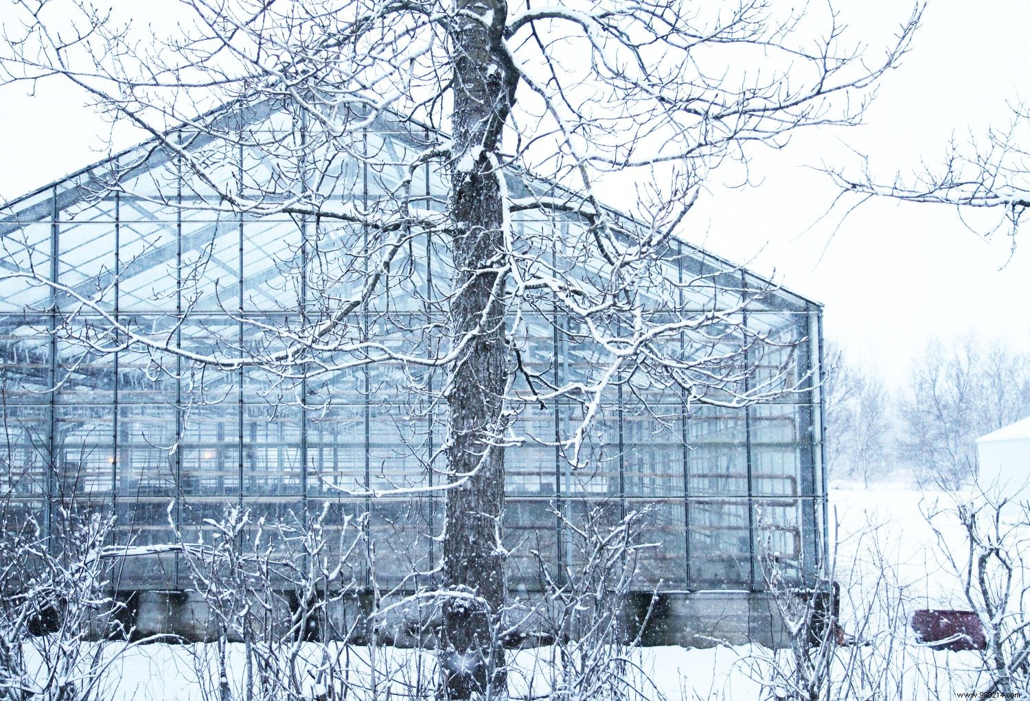 Top 5 Must-Do Experiences in Iceland: Insider Tips from Seasoned Travelers