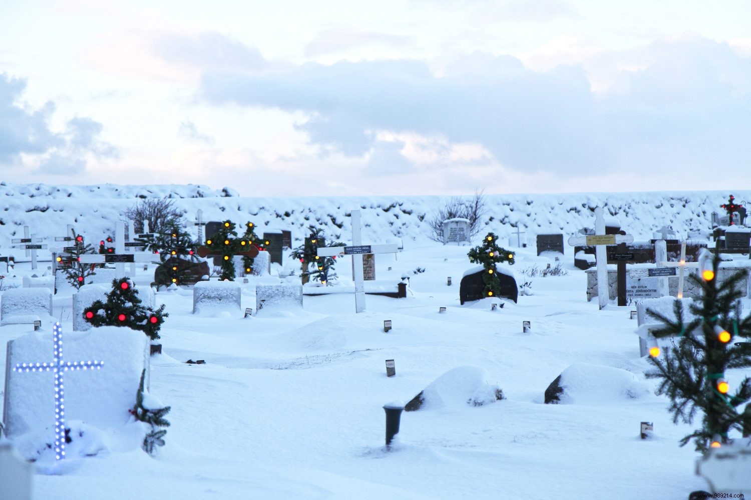 Top 5 Must-Do Experiences in Iceland: Insider Tips from Seasoned Travelers