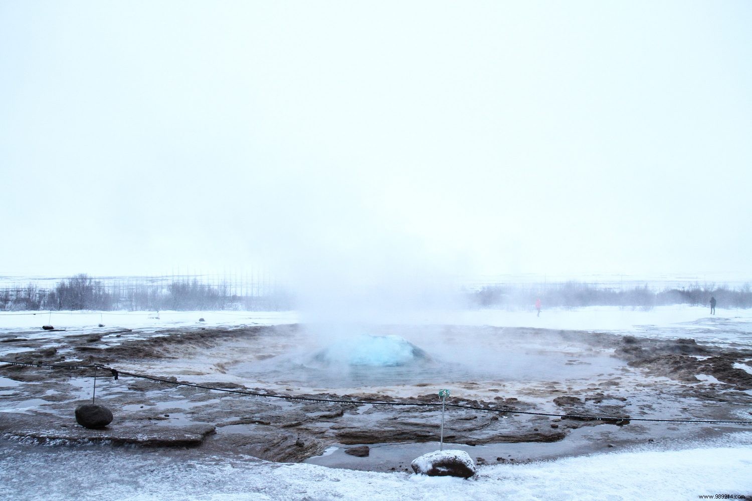 Top 5 Must-Do Experiences in Iceland: Insider Tips from Seasoned Travelers