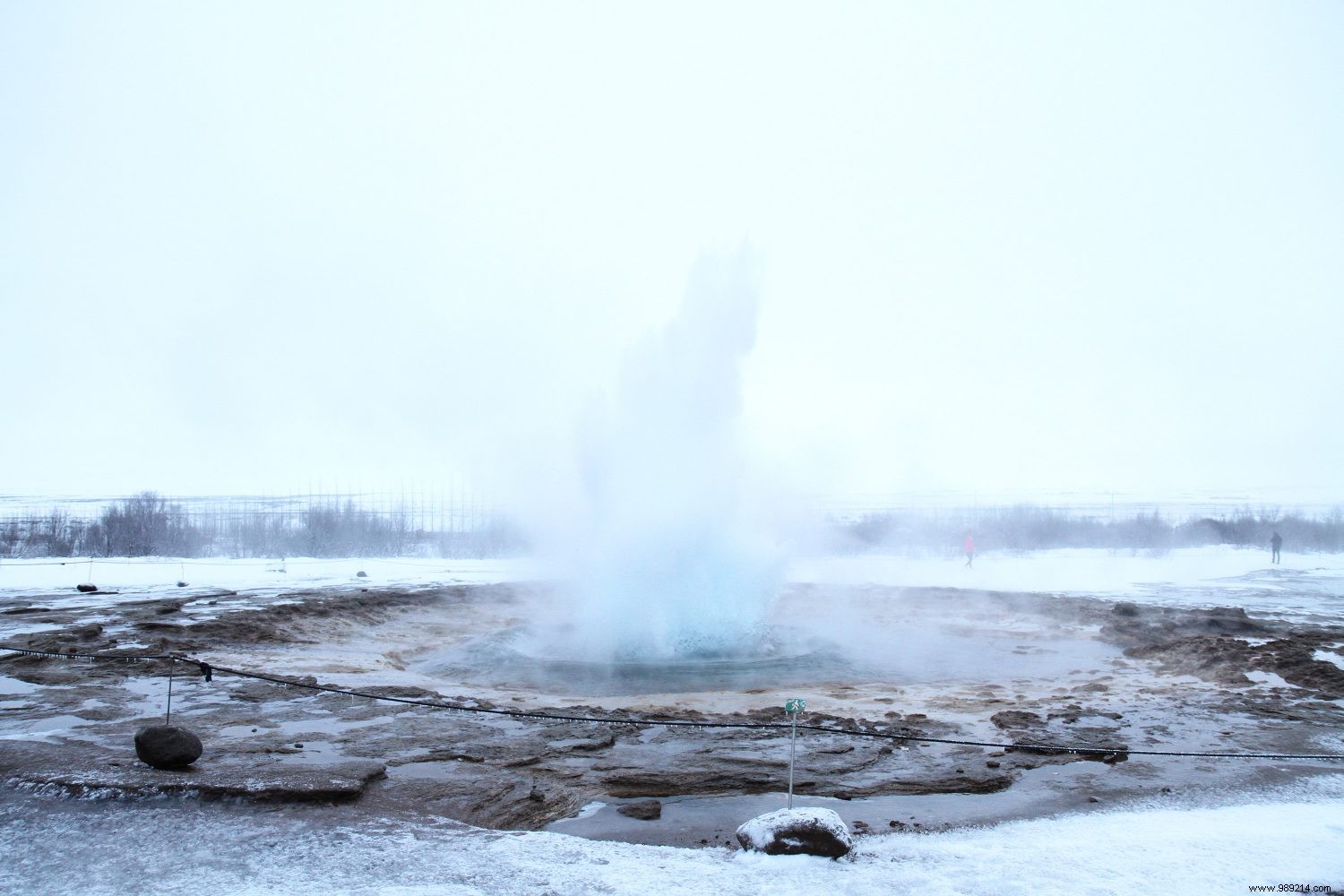 Top 5 Must-Do Experiences in Iceland: Insider Tips from Seasoned Travelers