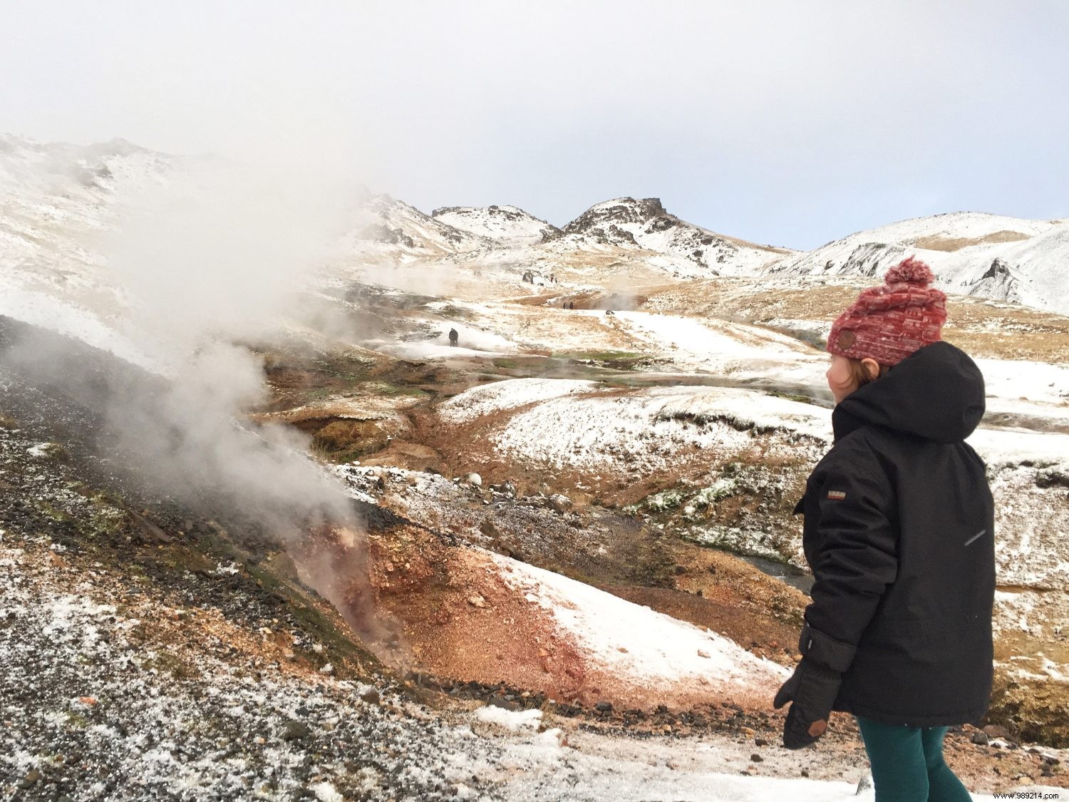 Top 5 Must-Do Experiences in Iceland: Insider Tips from Seasoned Travelers