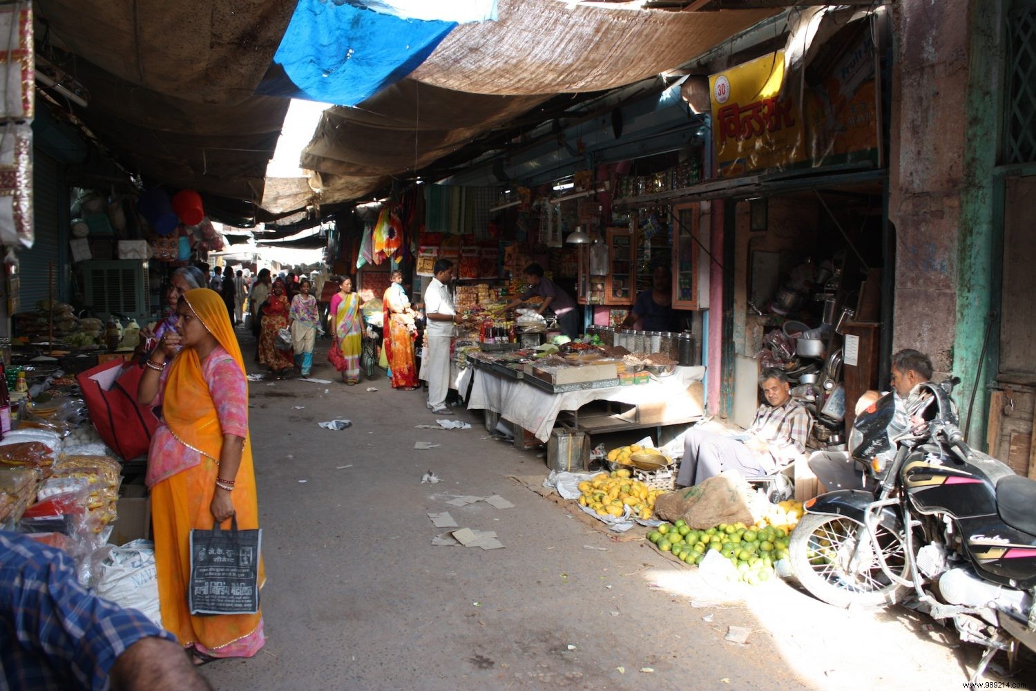 Family Travel Guide to Rajasthan with Kids: Our Proven Tips from Multiple Trips