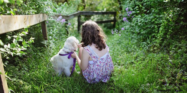 How to Choose the Perfect Pet for Your Child: Expert Guide by Age and Personality