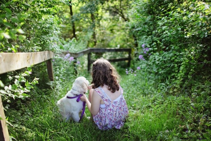 Best Calm and Gentle Dog Breeds for Families with Children
